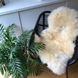 Pride , Pastel, Sheepskin Rug, Tainbow, Chair Cover, Bed Throw, Fur, Interior Decor Home Accessories Fur Hygge - thumbnail 3