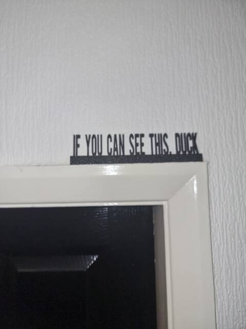 If You Can See This, Duck Door Topper, Shelf Decor, Wall Quirky Home Interior Gift, Door Decoration - image 1
