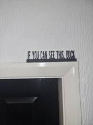 If You Can See This, Duck Door Topper, Shelf Decor, Wall Quirky Home Interior Gift, Door Decoration - thumbnail 1