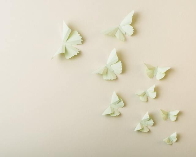 3D Wall Butterflies Honeydew Butterfly Silhouettes For Girls Room, Nursery, & Home Art Decor - image 1