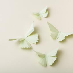 3D Wall Butterflies Honeydew Butterfly Silhouettes For Girls Room, Nursery, & Home Art Decor - thumbnail 3