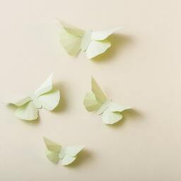 3D Wall Butterflies Honeydew Butterfly Silhouettes For Girls Room, Nursery, & Home Art Decor - thumbnail 2