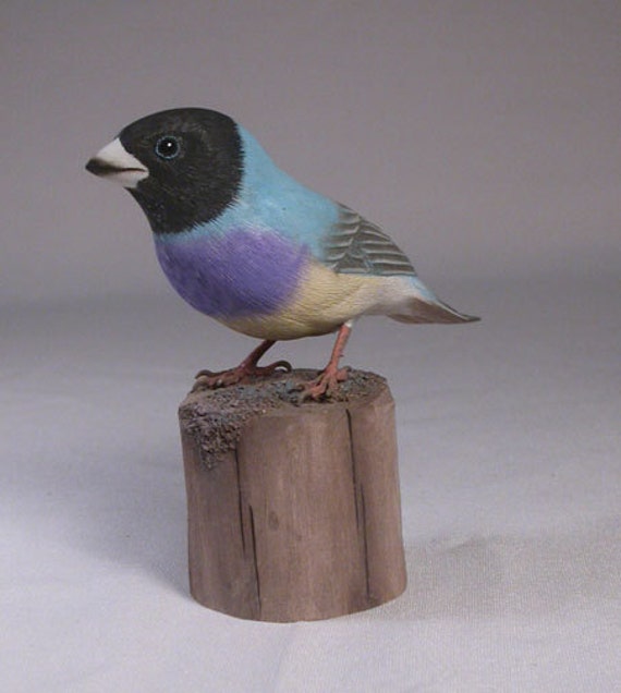 Gouldian Finch - Teal-Back Hand Carved Wooden Bird - image 1