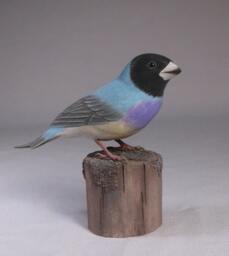 Gouldian Finch - Teal-Back Hand Carved Wooden Bird - thumbnail 2