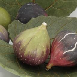 Ceramic Fig Leaf Handmade Realistic Greek Summer Decoration - 1 Pc Country Home - thumbnail 3