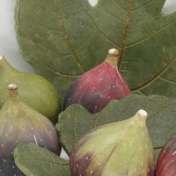 Ceramic Fig Leaf Handmade Realistic Greek Summer Decoration - 1 Pc Country Home - thumbnail 4