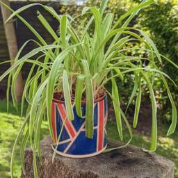 Handmade Ceramic Plant Pot, Red White Blue Ceramic Plant Pot, Union Jack Themed Planter, Houseplant Pot - thumbnail 2