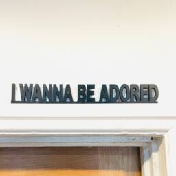 She's A Waterfall Acrylic Sign Doorframe Shelf You Are My World Sally Cinnamon She Bangs The Drum I Wanna Be Adored For Stone Roses - thumbnail 2