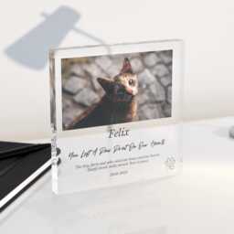 Personalised Pet Memorial Gift - Dog Or Cat Loss Photo Plaque, Sympathy Keepsake, Bereavement Present, Custom Memory Acrylic Block - thumbnail 3