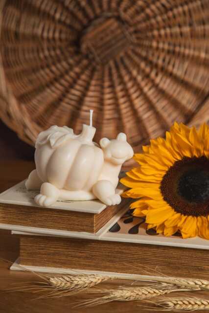 Pumpkin Spice Turtle Candle Handcrafted Soy Wax Fall Decoration - image 1