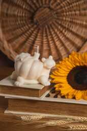 Pumpkin Spice Turtle Candle Handcrafted Soy Wax Fall Decoration - thumbnail 1