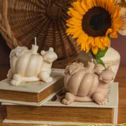 Pumpkin Spice Turtle Candle Handcrafted Soy Wax Fall Decoration - thumbnail 2