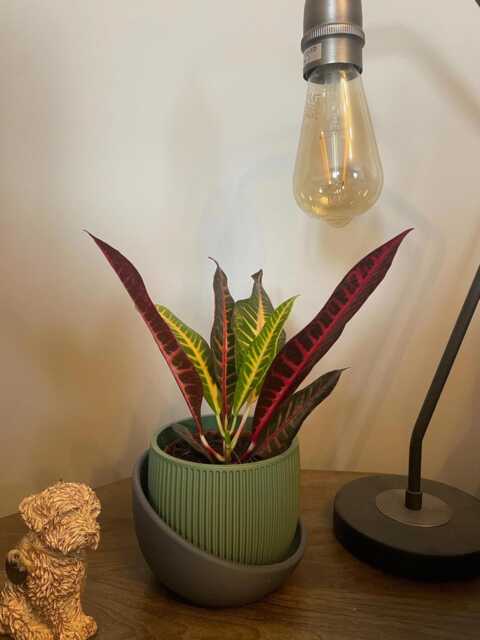 Modern Ribbed 3D Printed Planter Pot Medium Matte Indoor Container - image 1