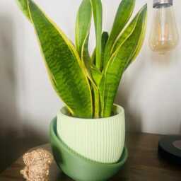Modern Ribbed 3D Printed Planter Pot Medium Matte Indoor Container - thumbnail 3