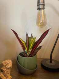 Modern Ribbed 3D Printed Planter Pot Medium Matte Indoor Container - thumbnail 1
