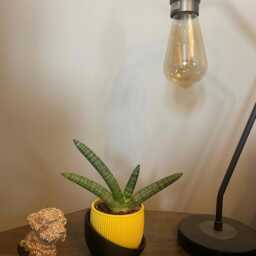 Modern Ribbed 3D Printed Planter Pot Medium Matte Indoor Container - thumbnail 4
