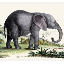 African Elephant Print, Gicl??e Nursery Wall Art - thumbnail 2