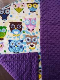 Purple Minky Dot Baby Blanket, Cotton Owls Fabric, Shower Gift
