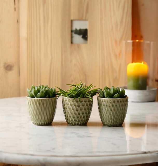 Mini Olive Green Patterned Plant Pot - image 1