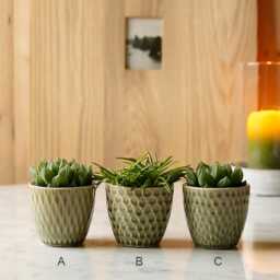 Mini Olive Green Patterned Plant Pot - thumbnail 2