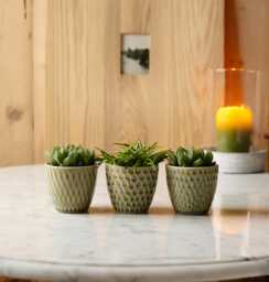 Mini Olive Green Patterned Plant Pot - thumbnail 1