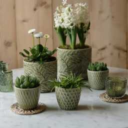 Mini Olive Green Patterned Plant Pot - thumbnail 4
