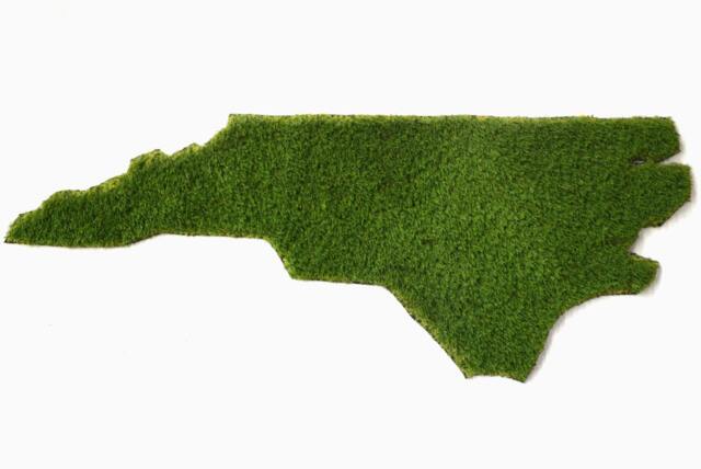 North Carolina Synthetic Grass Doormat - Rug Wall Decor