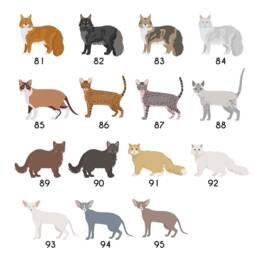 Personalised Cat Christmas Hanging Decoration - thumbnail 3