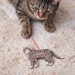 Personalised Cat Christmas Hanging Decoration - thumbnail 2
