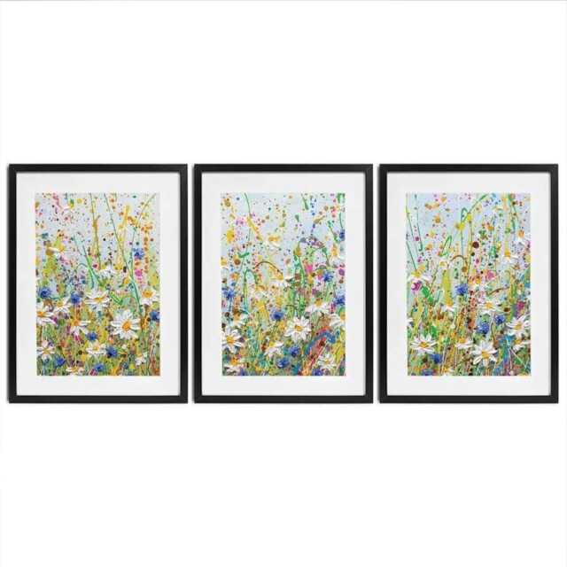Daisy Splash Framed Art Print Trio - image 1