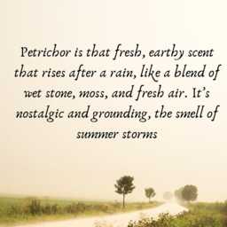 After The Rain Scented Candle - Petrichor - Clean Earthy Fragrance - thumbnail 3