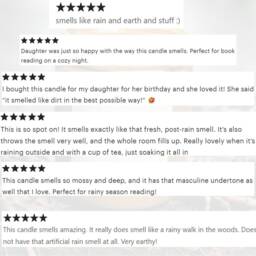 After The Rain Scented Candle - Petrichor - Clean Earthy Fragrance - thumbnail 2