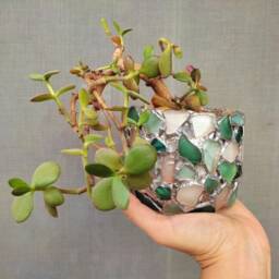 Recycled Planter, Sea Stained Glass Small Flower Pot, Cactus Succulent Beach Home Decor - thumbnail 3