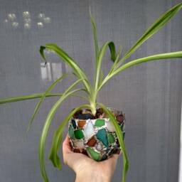 Recycled Planter, Sea Stained Glass Small Flower Pot, Cactus Succulent Beach Home Decor - thumbnail 2