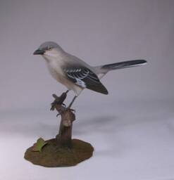 Northern Mockingbird Wooden Carved Bird Carving - thumbnail 2
