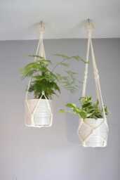 Macrame Plant Hanger No Tassel Indoor, Hanging Planter, Indoor Wall