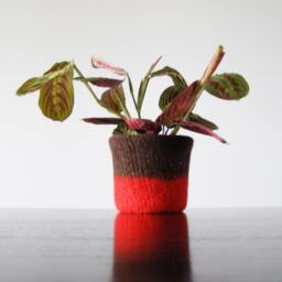 Felted Wool Planter With Waterproof Lining - Tweed Brown & Red Hostess Gift, Gifts For Gardeners Office Decor - thumbnail 2