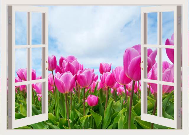 3D Window Flowers Decal, Frame, Wall Decor, Vinyl Decals Mothers Day Gifts , Stickers, Peel & Stick Vinyl W197 - image 1
