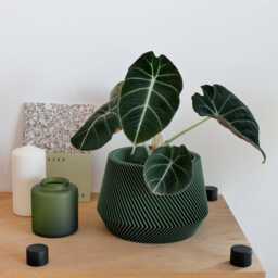 Green Indoor Planter - Oslo Original Gift - thumbnail 2