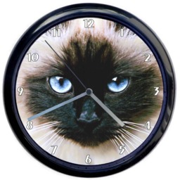 Personalised Car Motorcycle Portrait Pet Large 10Inch Silver Wall Clock - thumbnail 3