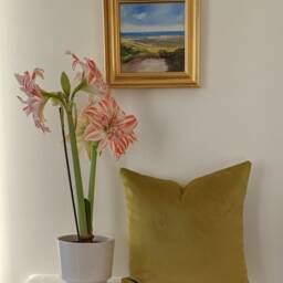 Velvet Handmade Cushion Covers - Teal, Navy, Grey, Lime Green, Hot Pink, Blush Mustard, Burnt Orange, Sand, Duck Egg, Interiors - thumbnail 3