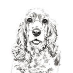American Cocker Spaniel - Wooden Stand For Candles/Pens With The Image Of A Dog New Collection - thumbnail 2