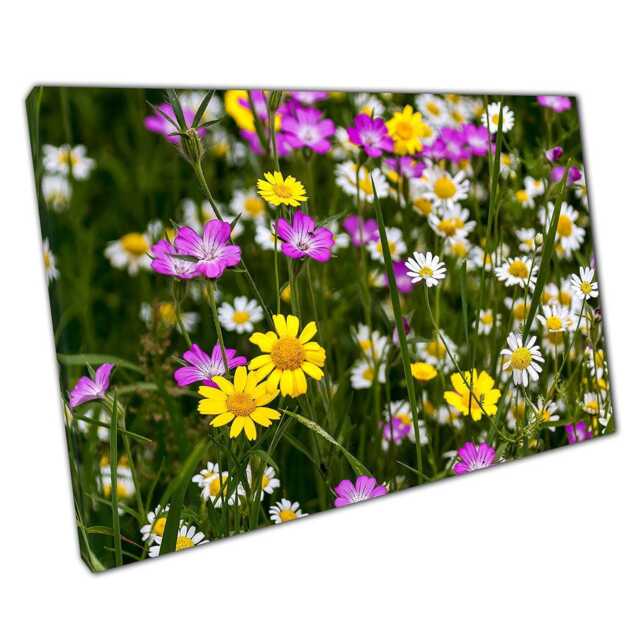 Vibrant Floral Meadow Canvas Yellow, Purple & White Artwork For Home Or Office Wall Decor - image 1