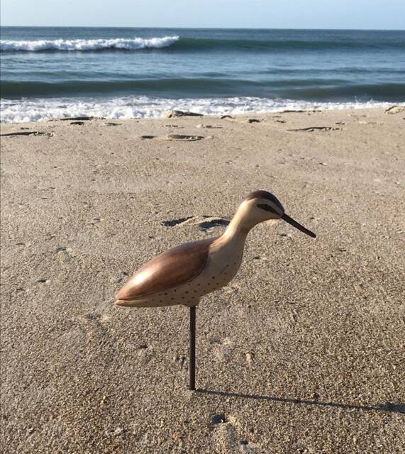 Shorebird Decoy Carving - image 1