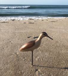 Shorebird Decoy Carving - thumbnail 1