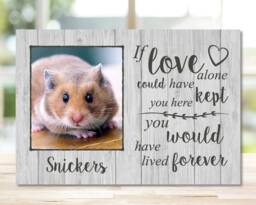 Hamster Memorial Frame Gift, Gerbil Memorial, Mouse Pet Plaque, Photo Frame, Dog Picture - thumbnail 1