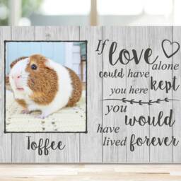 Hamster Memorial Frame Gift, Gerbil Memorial, Mouse Pet Plaque, Photo Frame, Dog Picture - thumbnail 2