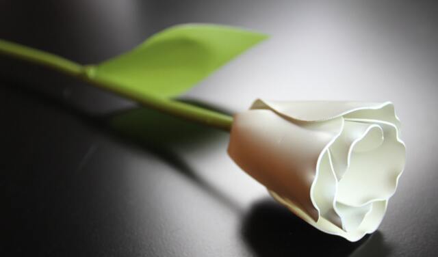 Metal Tulip, White Flower, Graduation Gift, Mother's Day, Mothers Personalized Day Gift - image 1