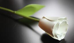 Metal Tulip, White Flower, Graduation Gift, Mother's Day, Mothers Personalized Day Gift - thumbnail 1