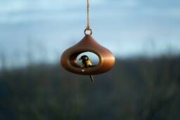 Decorative Bird Feeder - Bronze